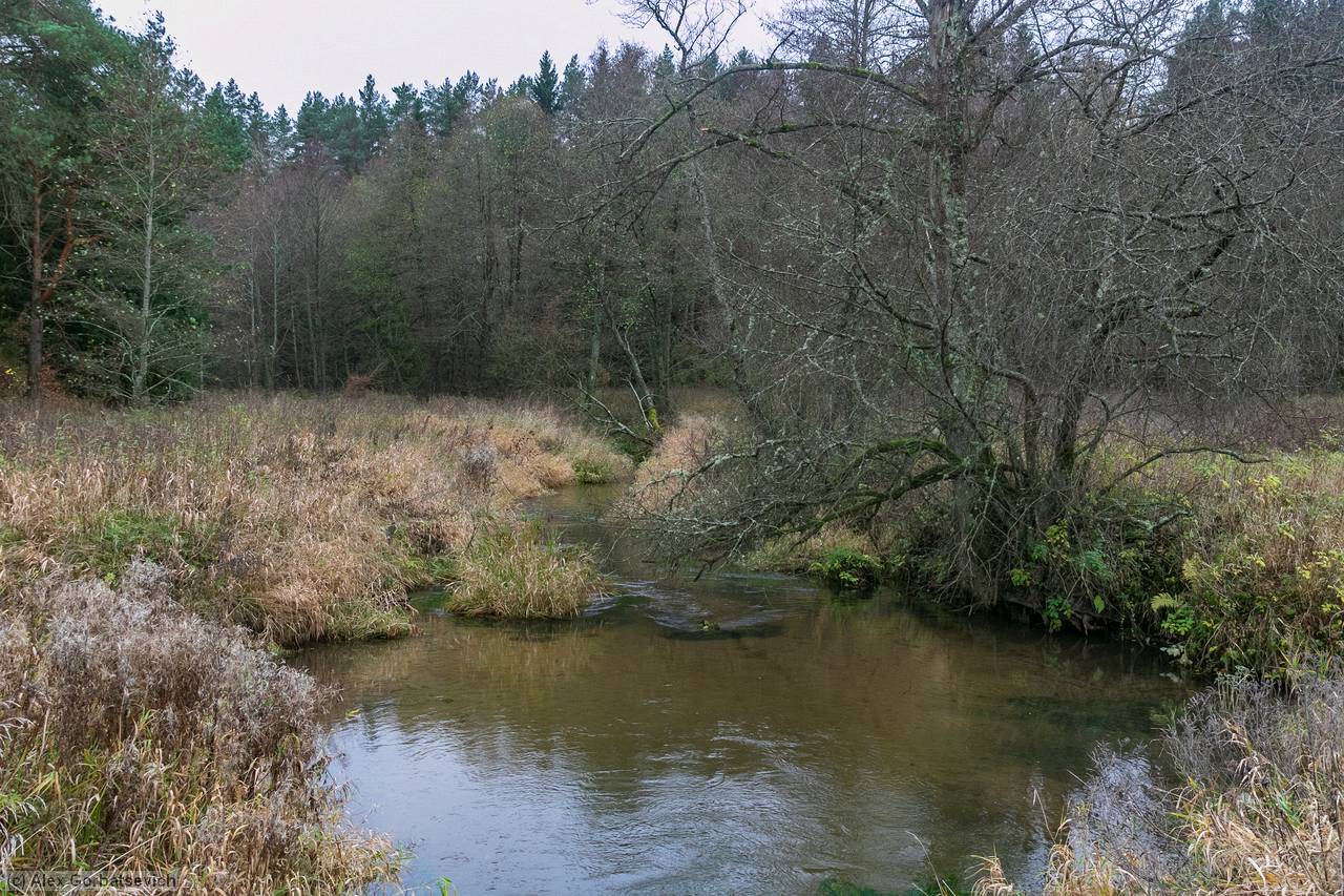 �. ������