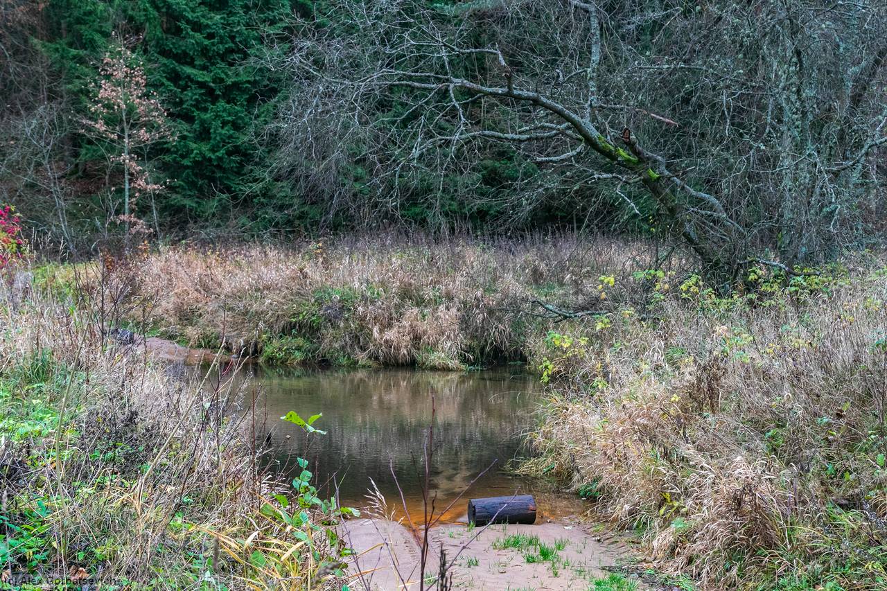 � ��� � ����