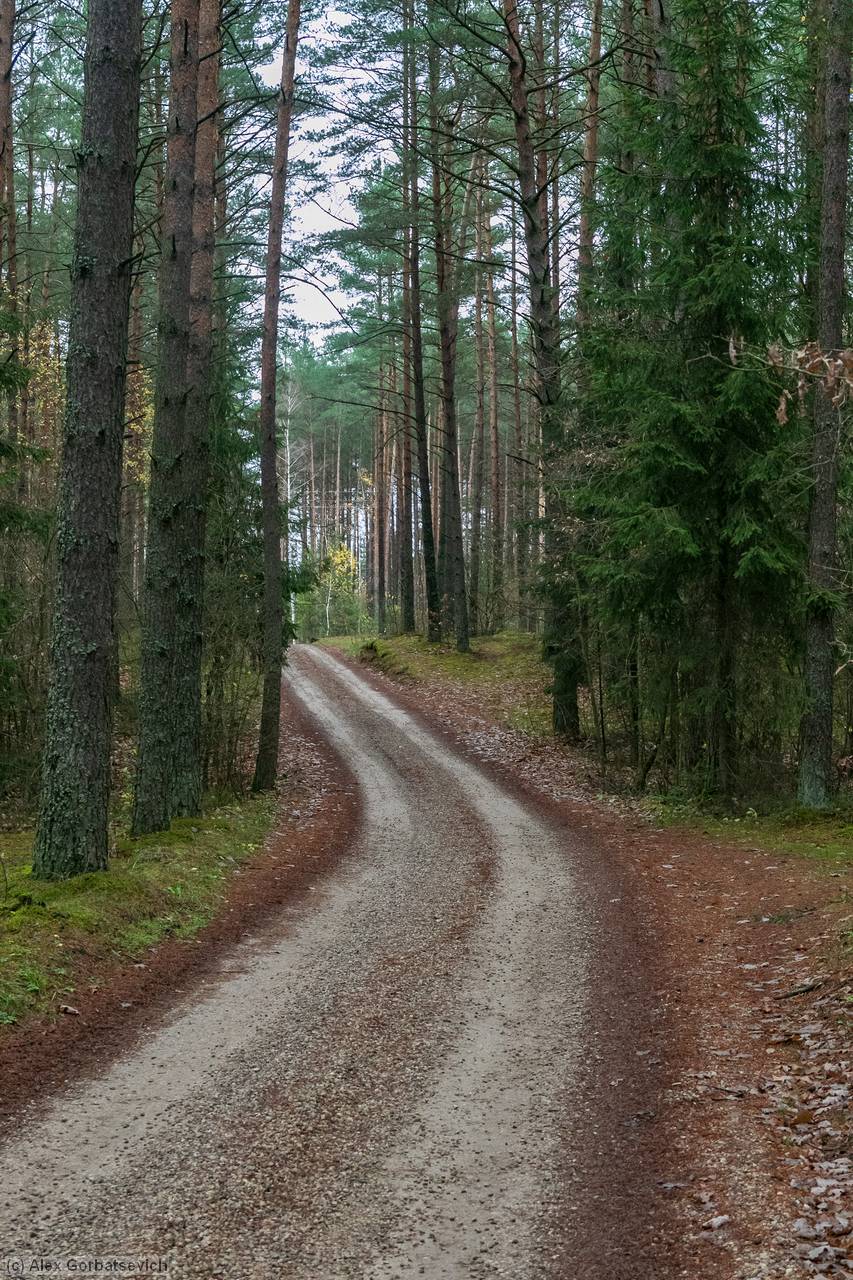 ������ �������