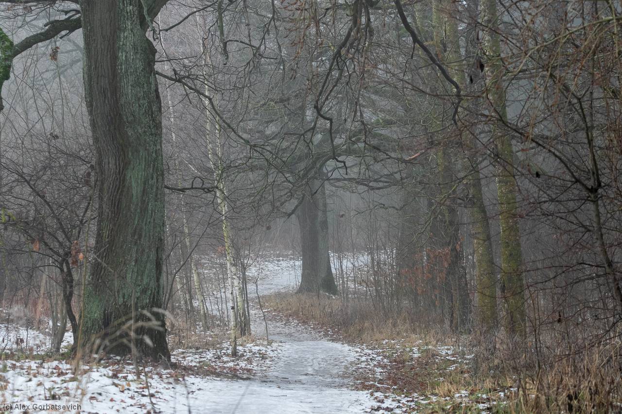 �������� �������