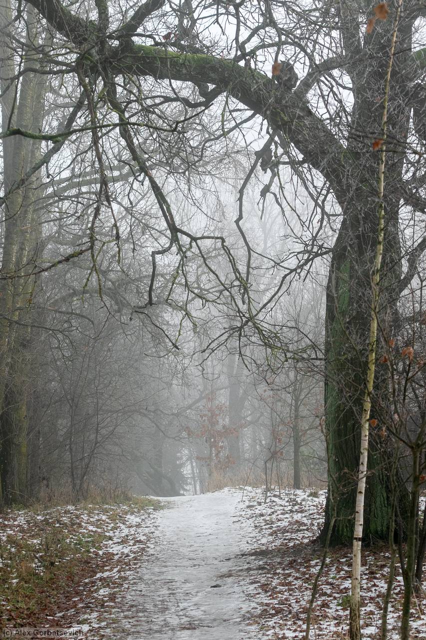 ������ � ������