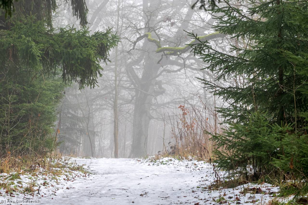 �������� �������