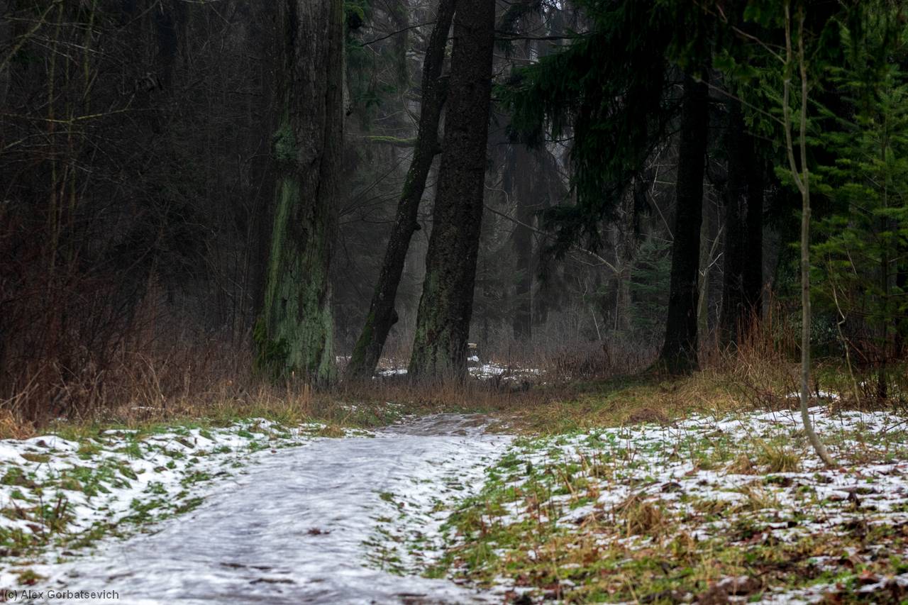 � ������� ������ ����