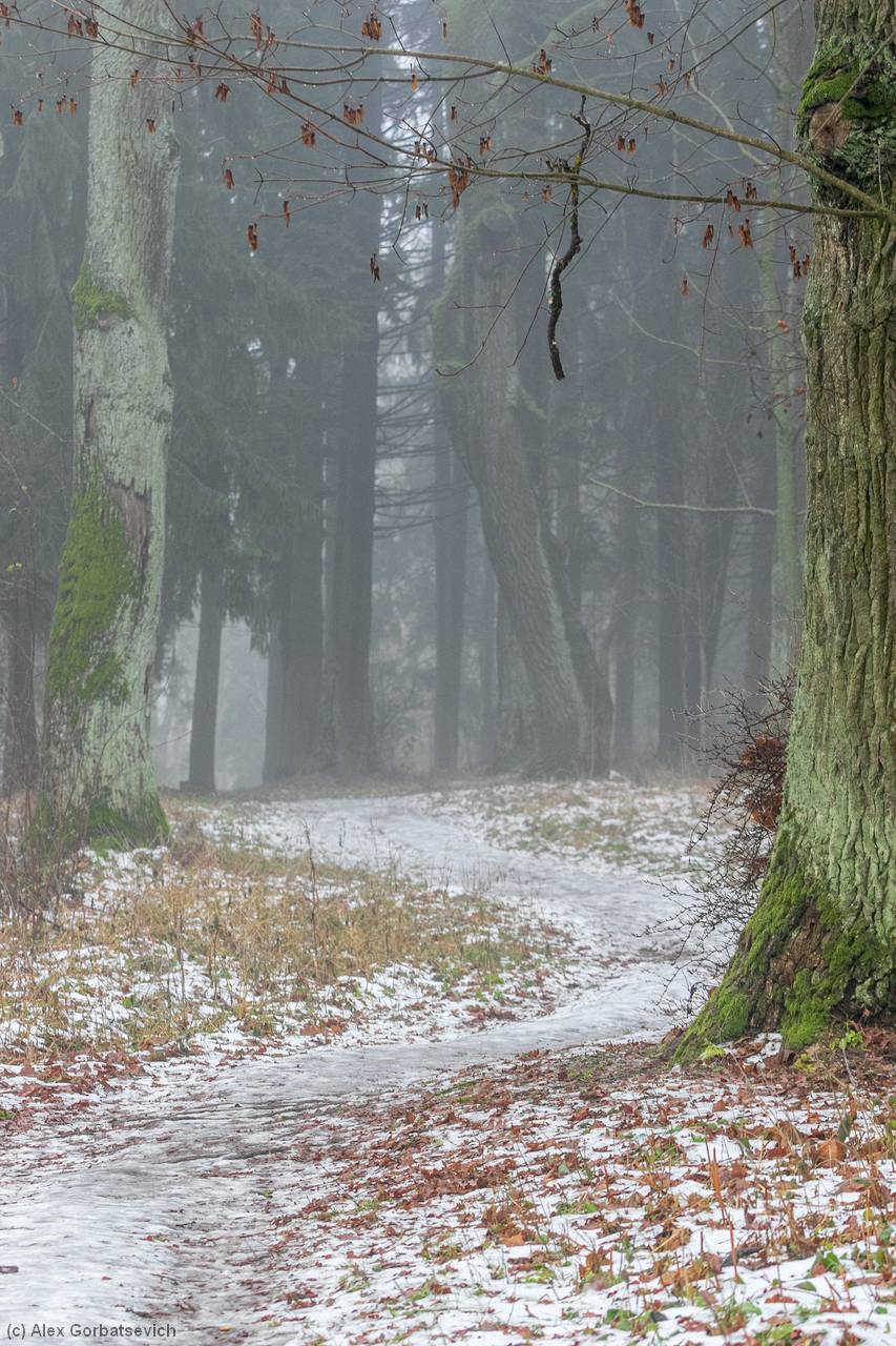 ��� ���������