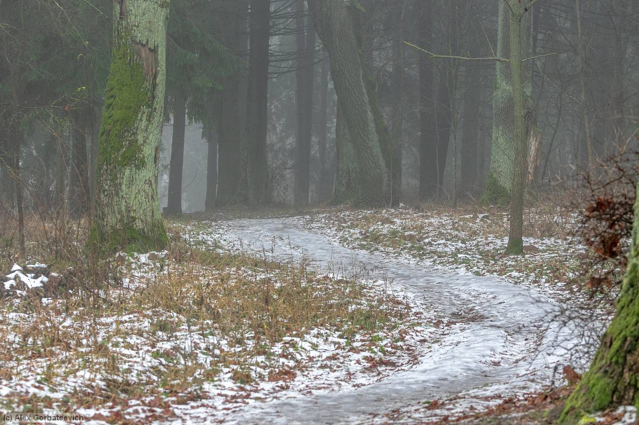 �������� �������