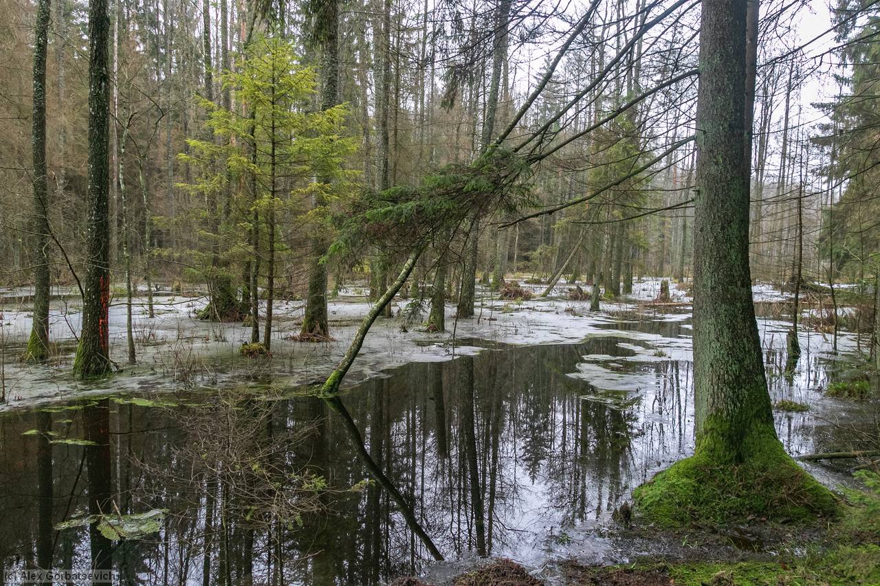 ����� ����� ���. ����� � ����