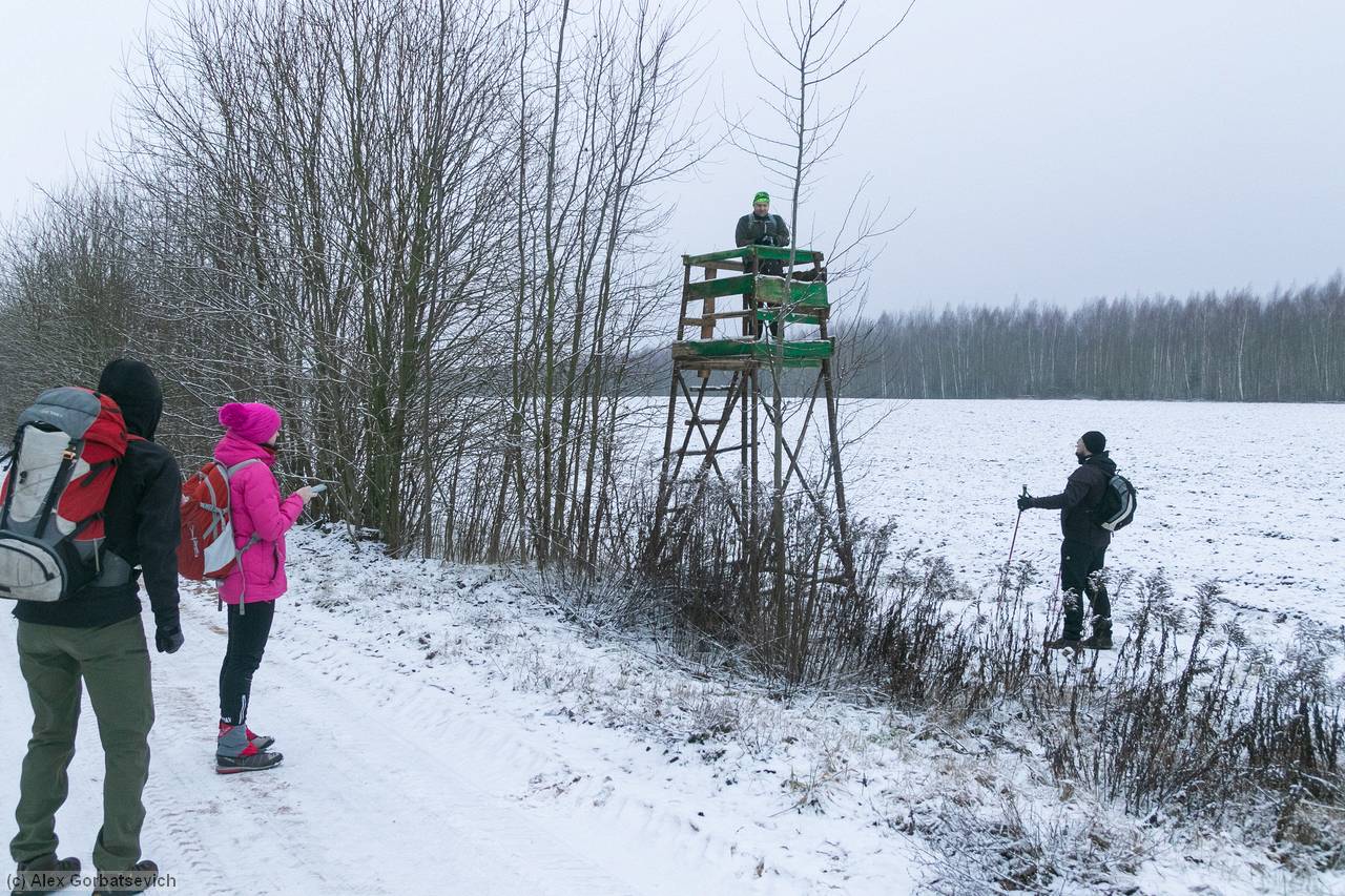 �� �������