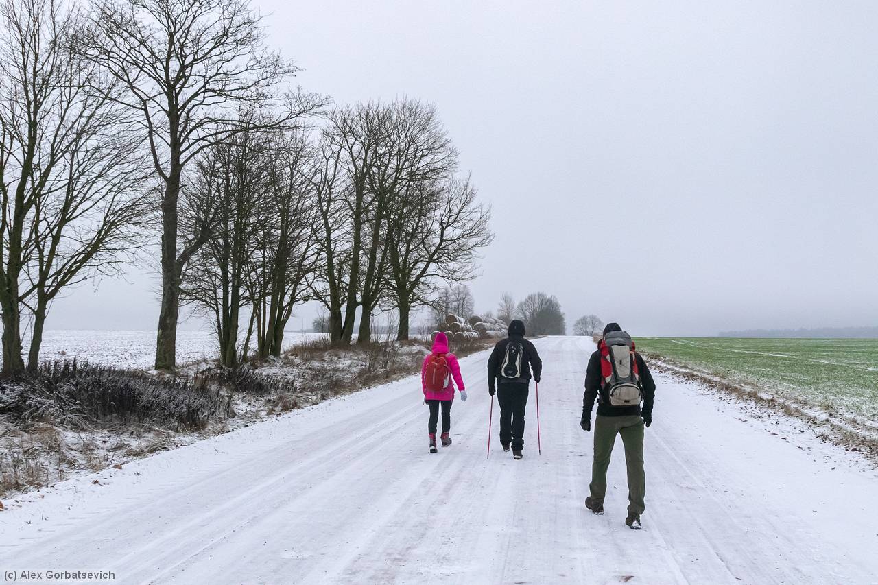 �� ������