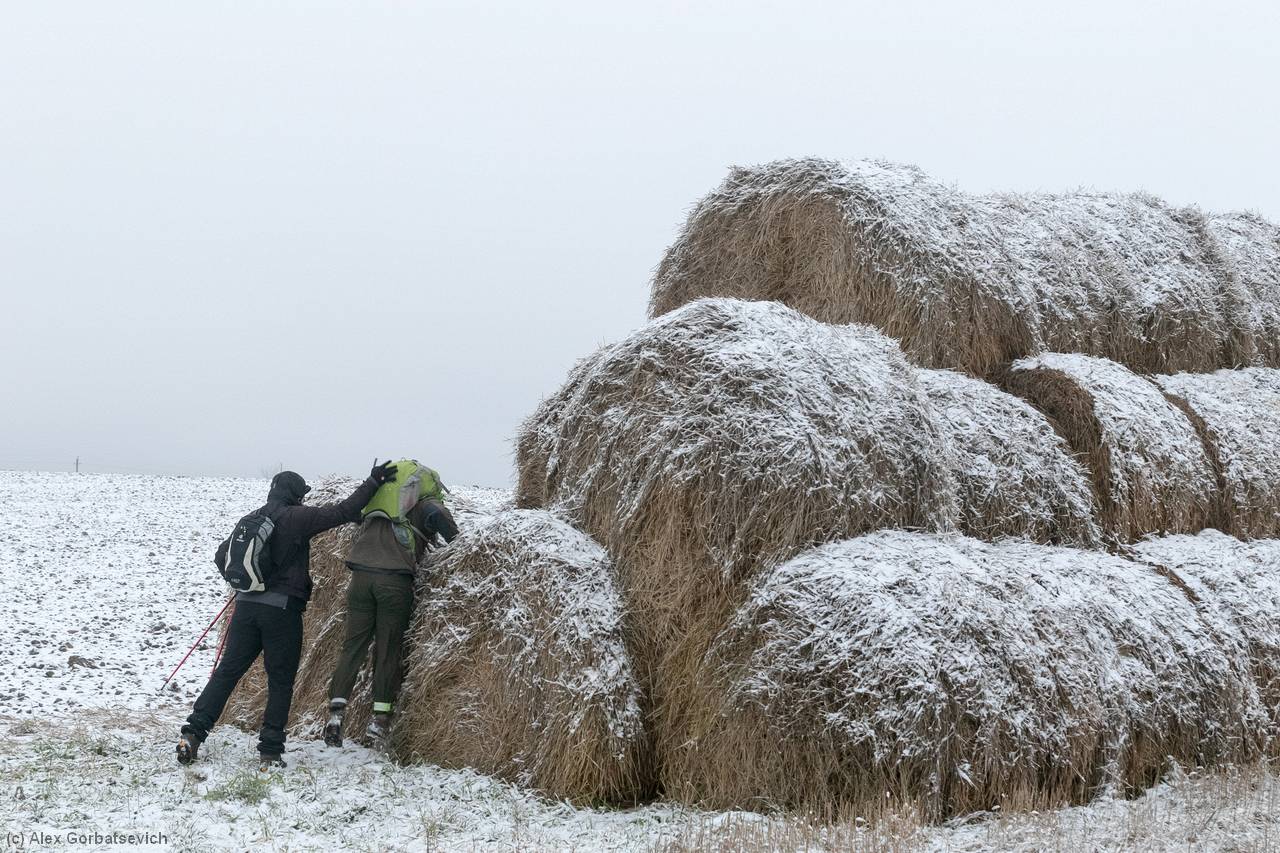 ���-� � ����� ������ ����� ����