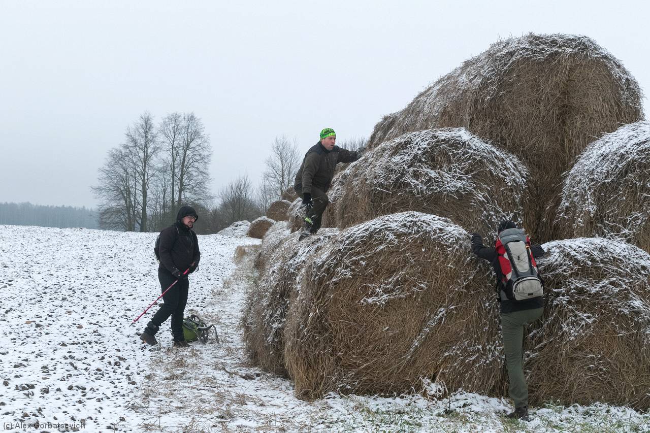 �� ������������