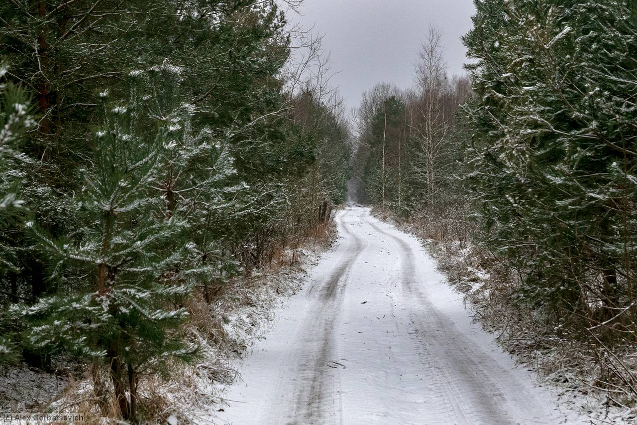 ������ ���