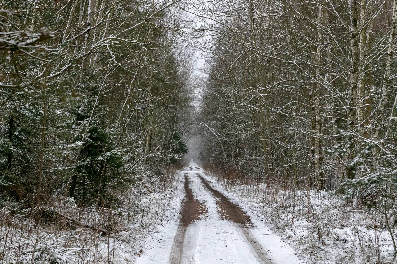 ������ ���