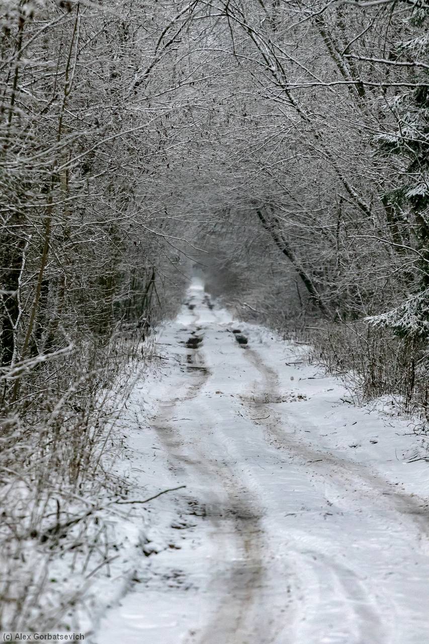 ������ ���