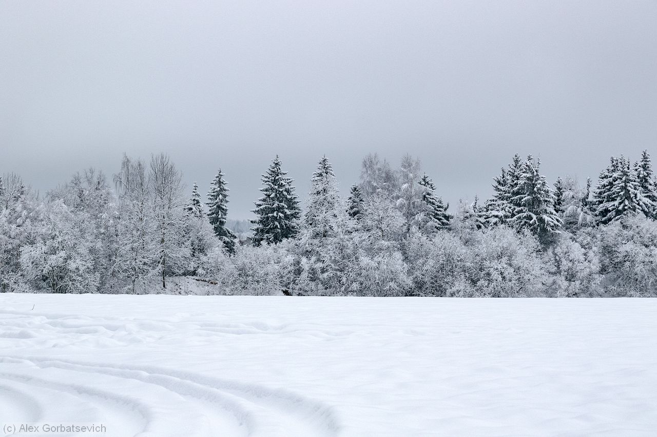 ������� ��������