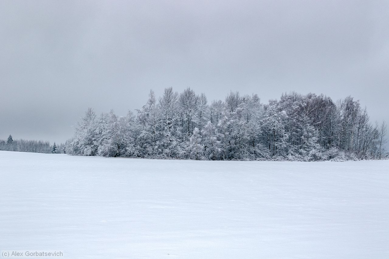 ������� ��������