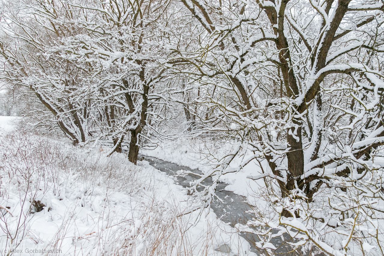 ������� �����