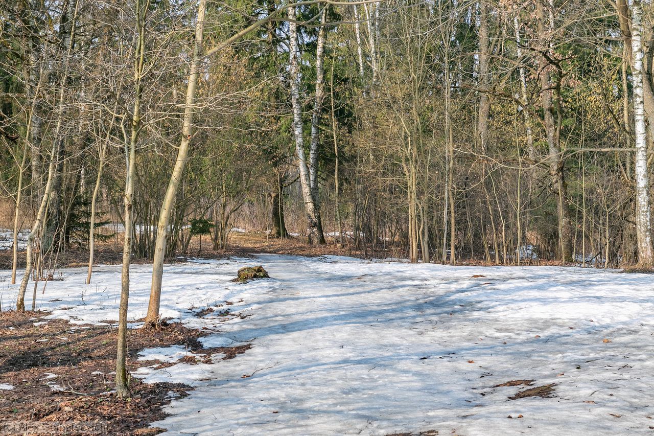 ������� ��������