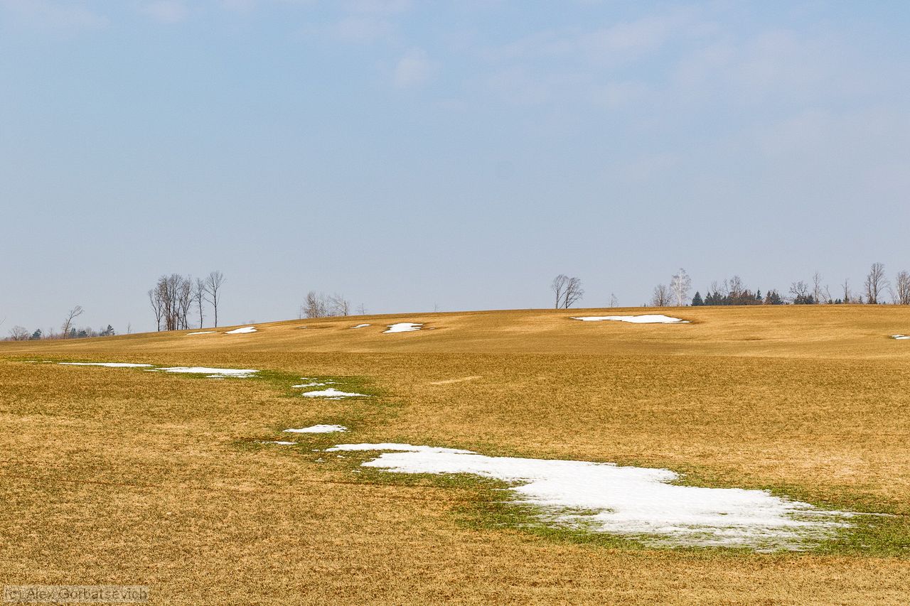 ����� ����� �� ....