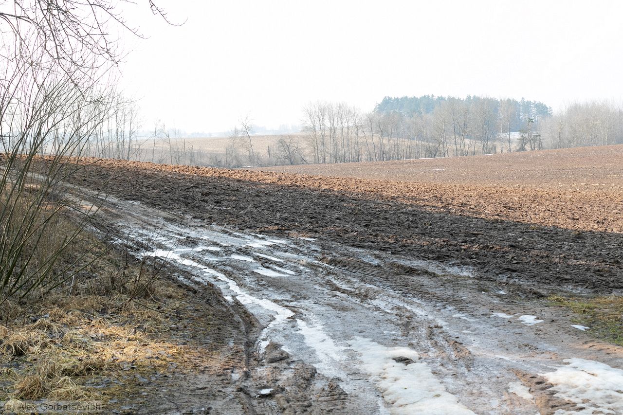 ���������� �������