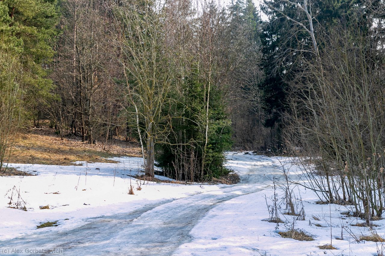 ������ � ���