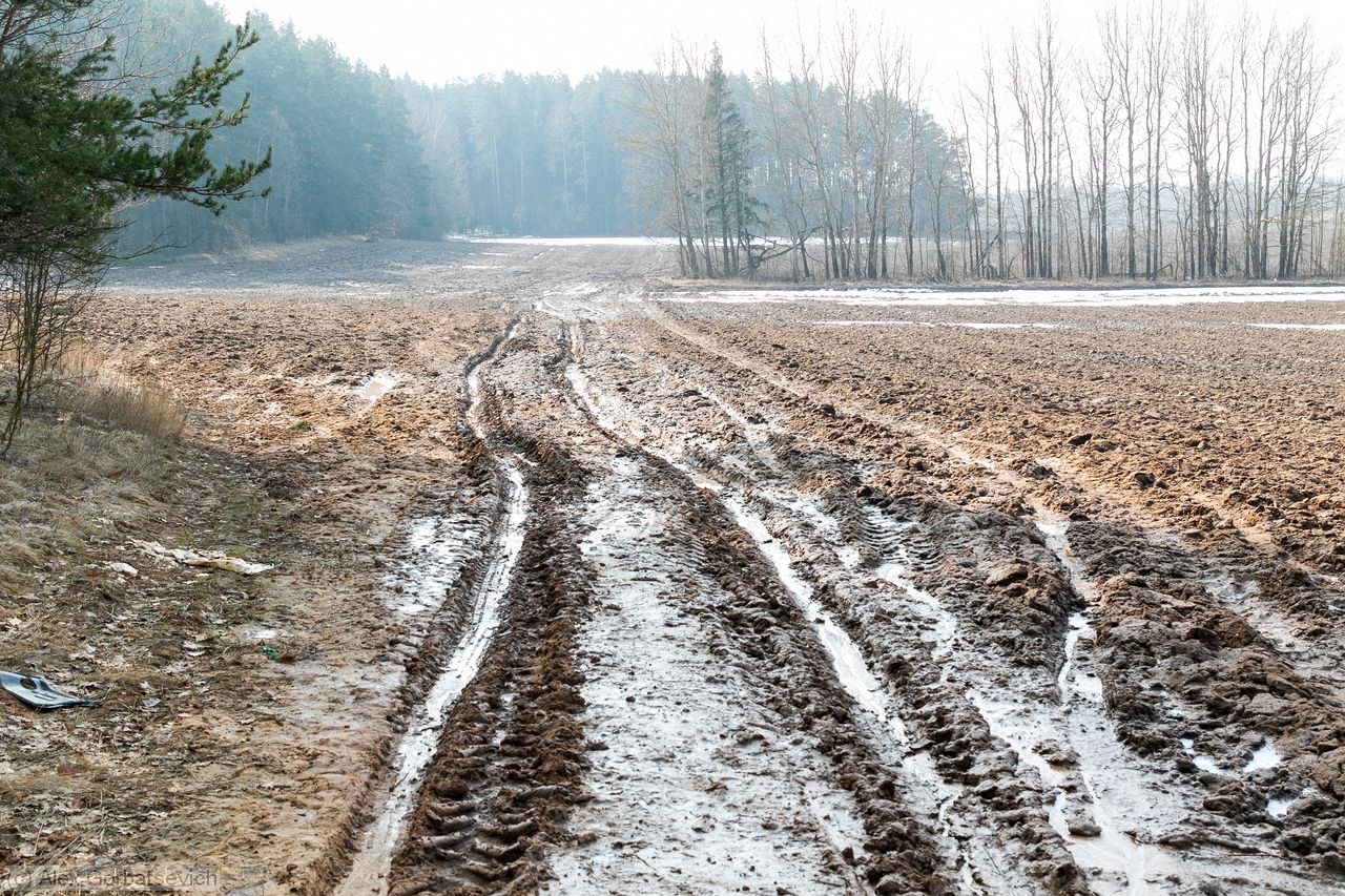 ������� ������