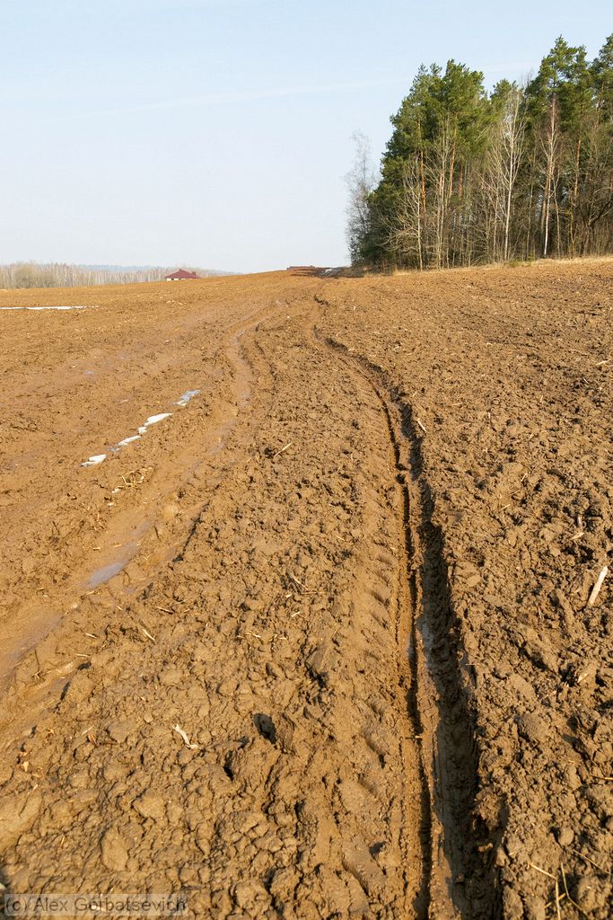 ���� � �������