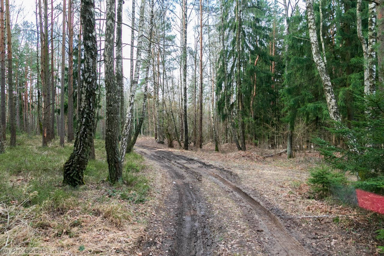 ������ ������