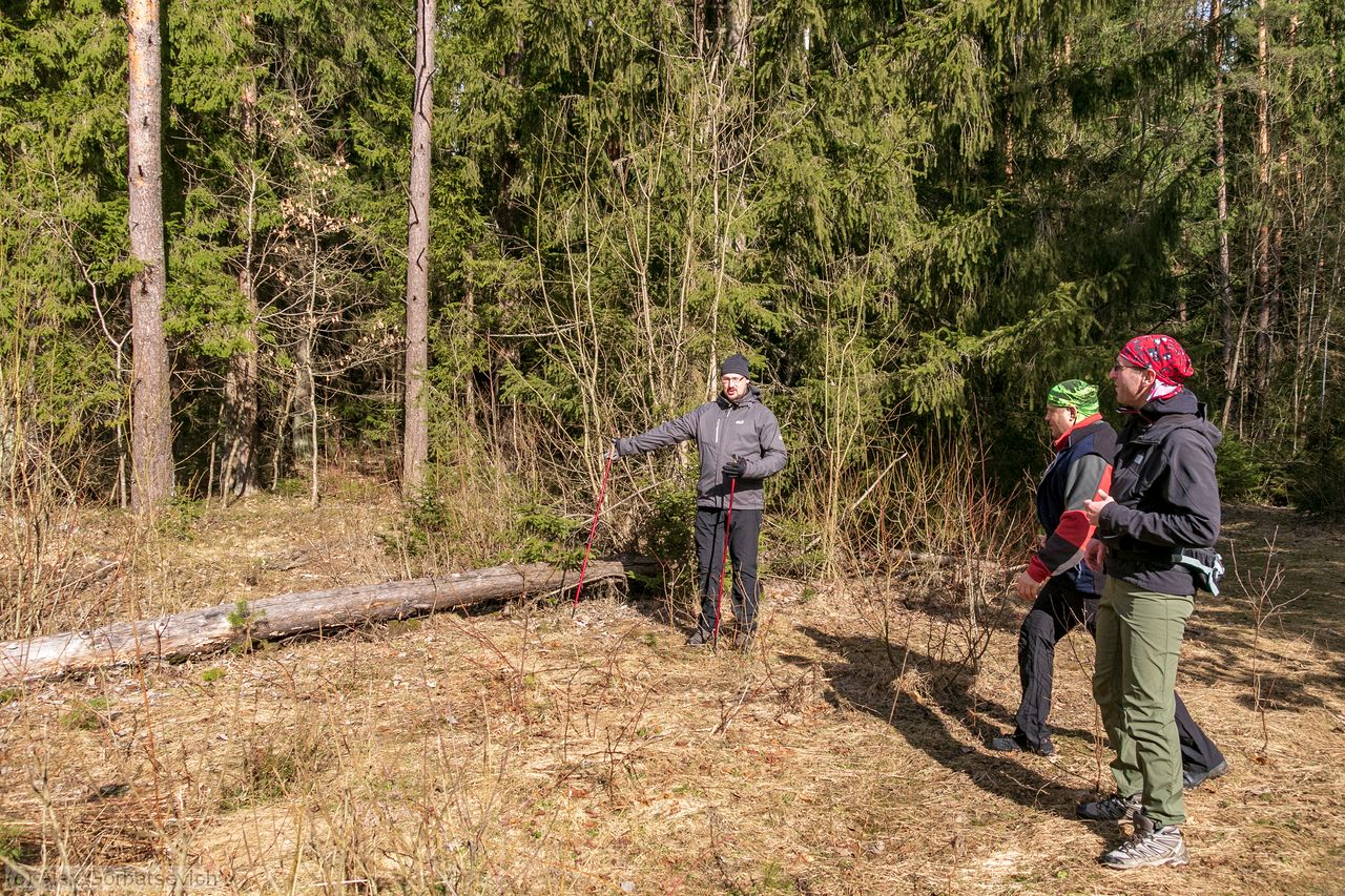 ������ ����� �����