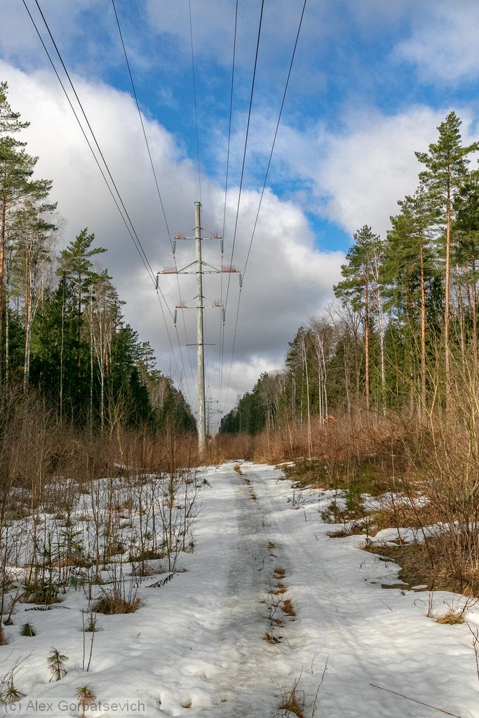 ������� ������