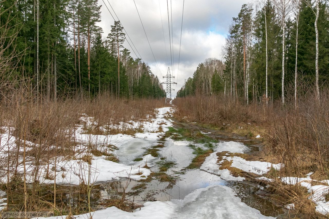 ������ ��������