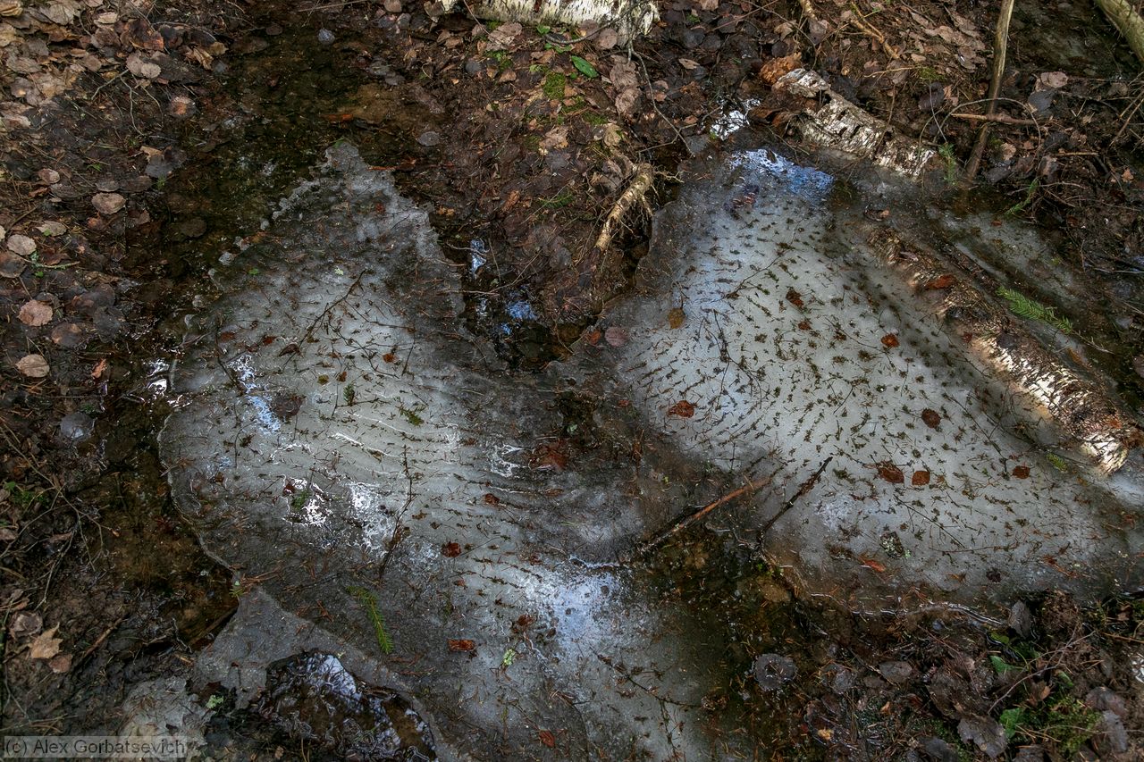 ���� � ����