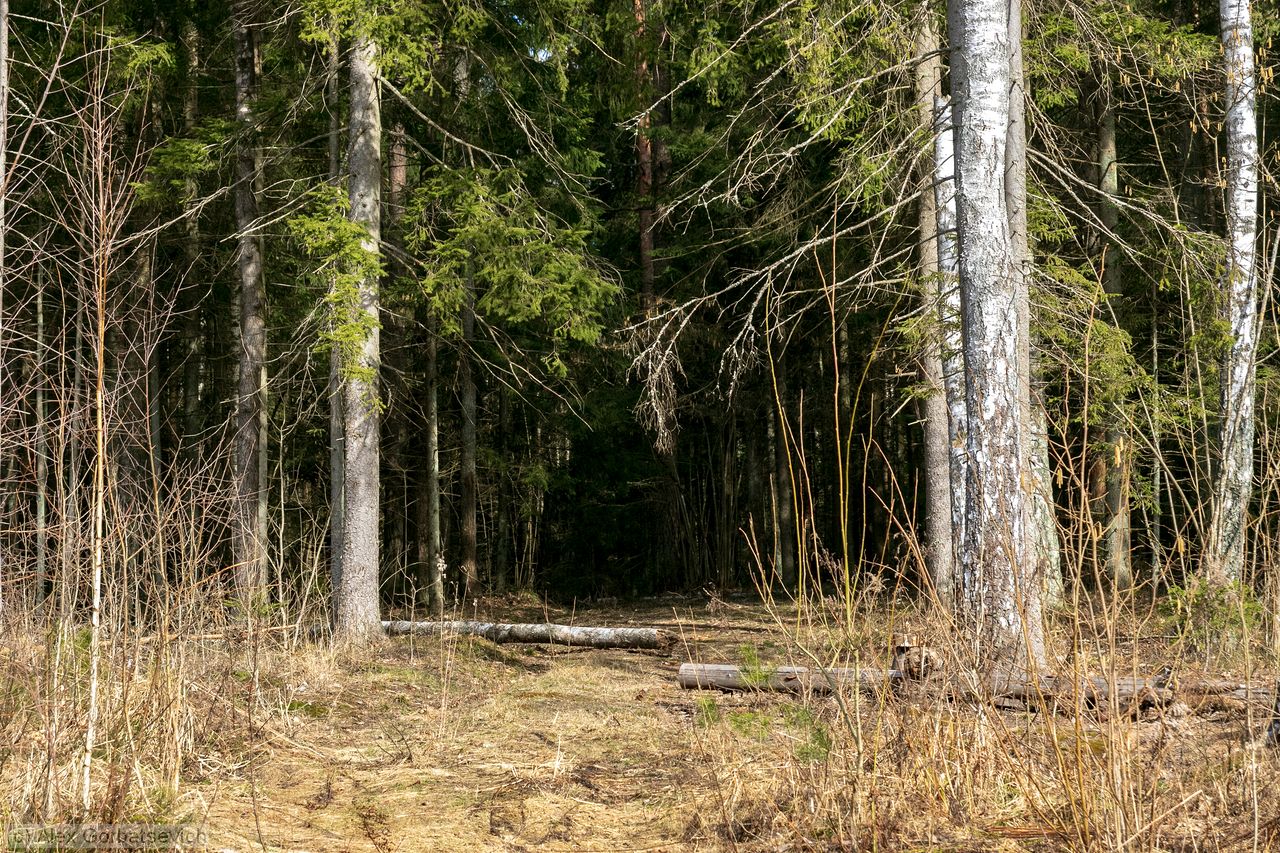 ��� ������� �� ����