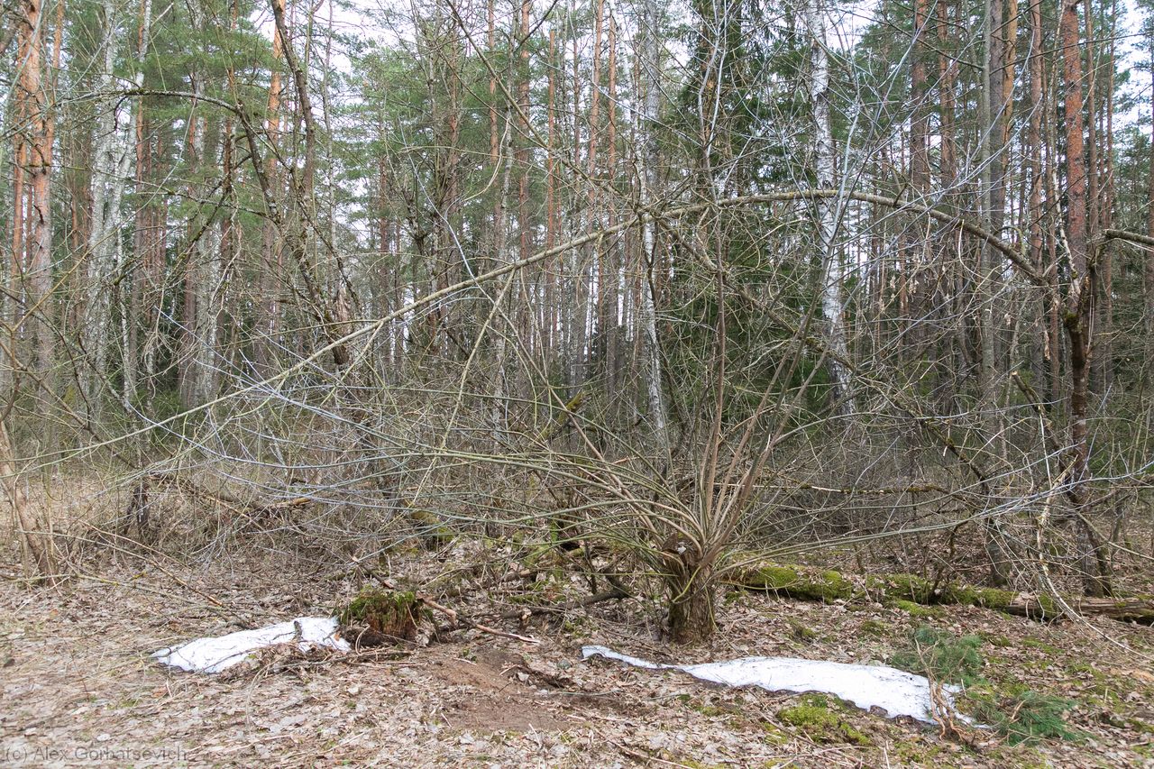 ���� � �����