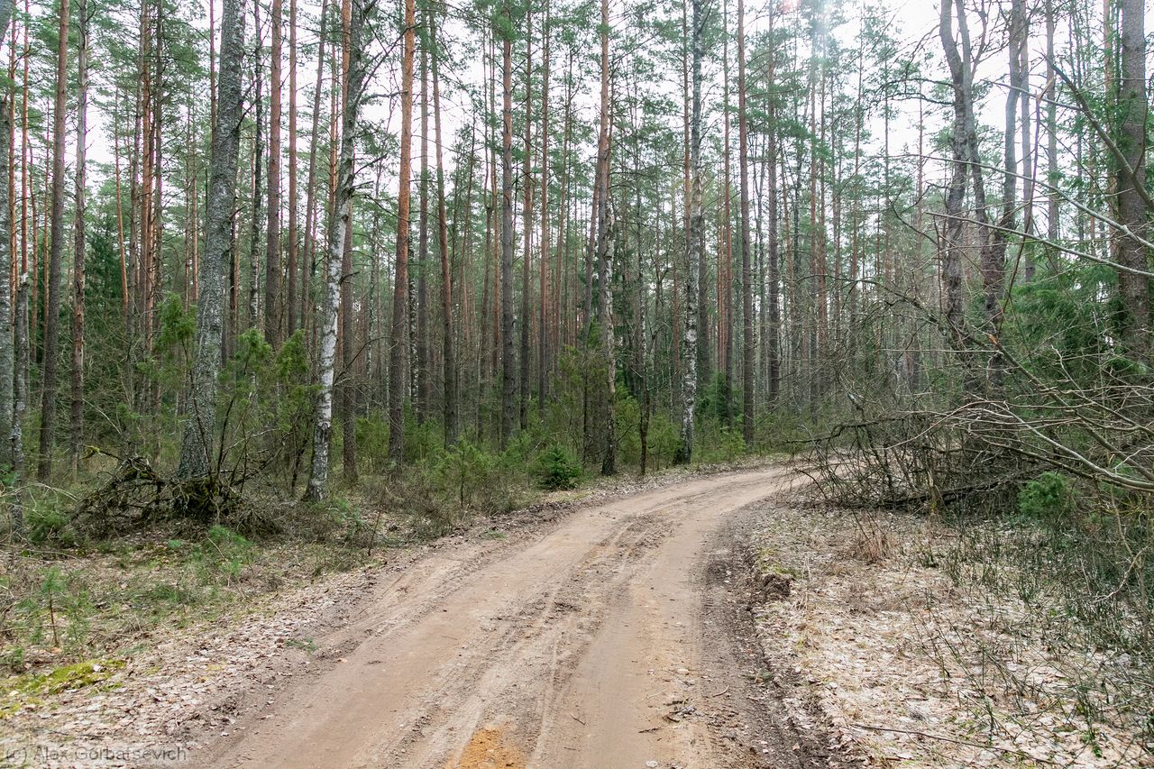 ������ ������