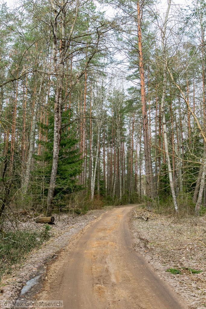 ������ ������