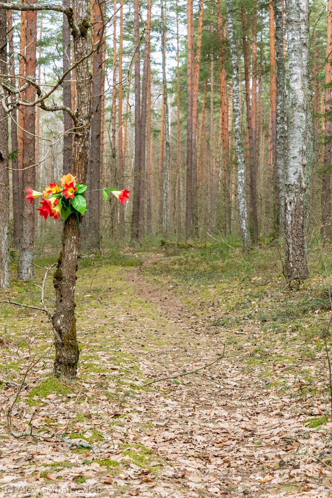 ������ ������������..