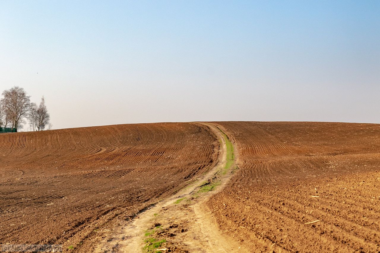 ������� ������