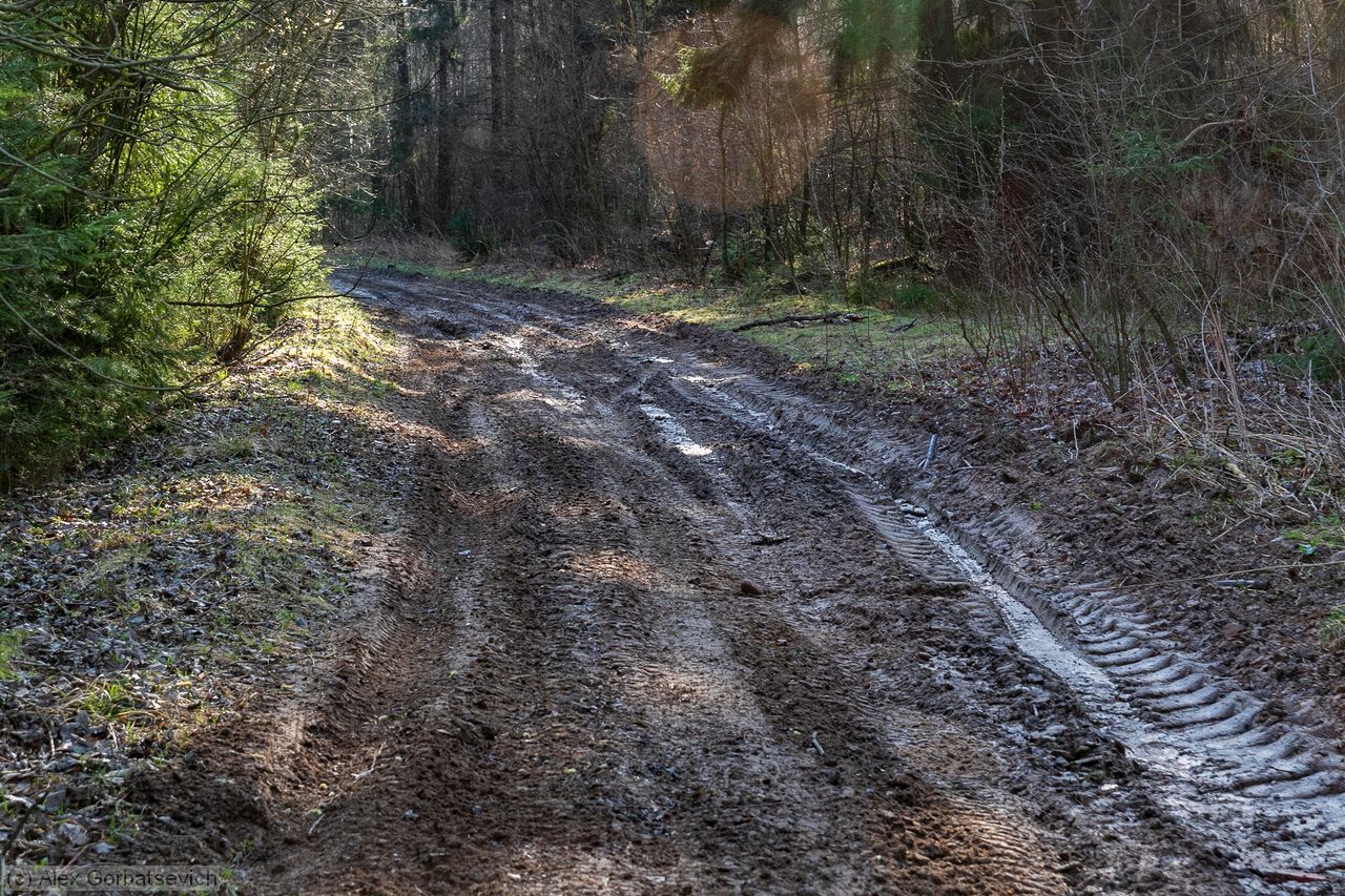 ������ ����������