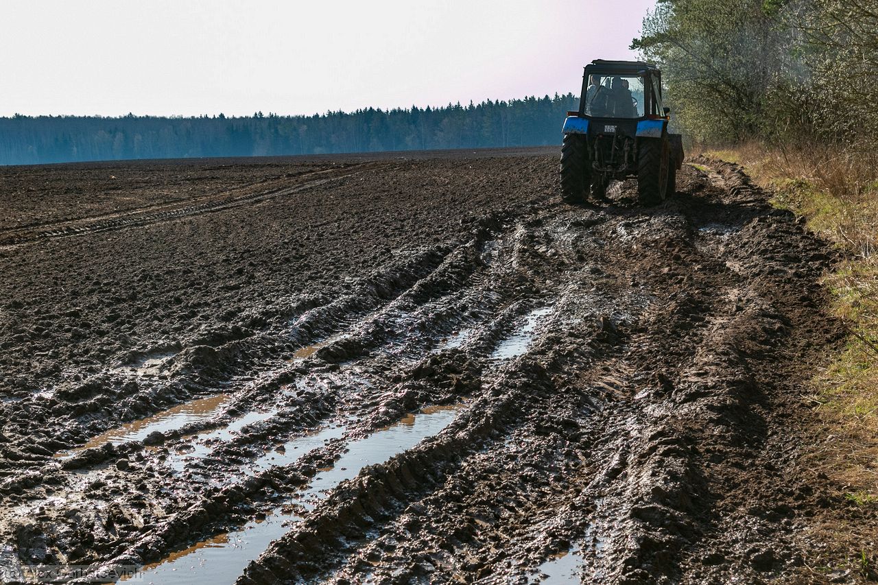 ������� ������