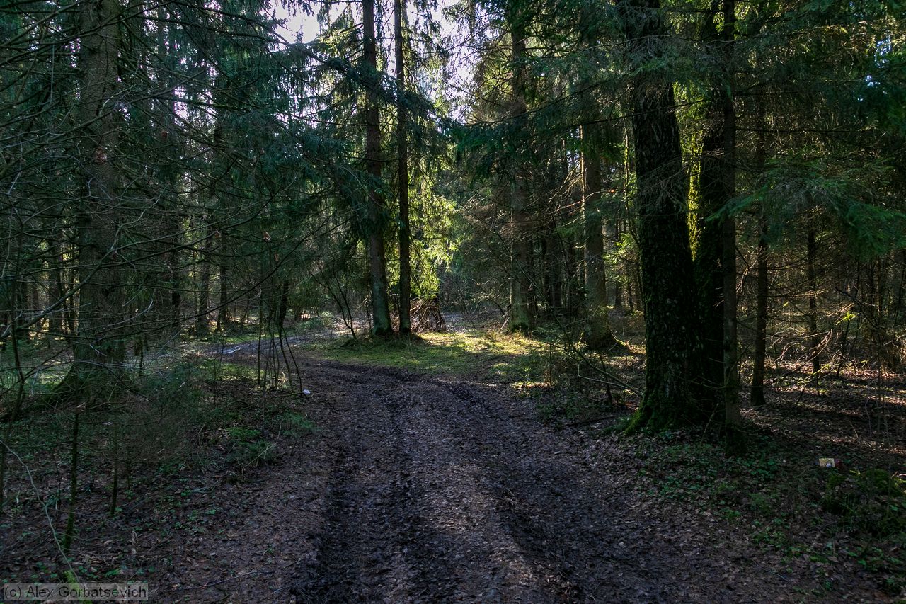 �������� ���