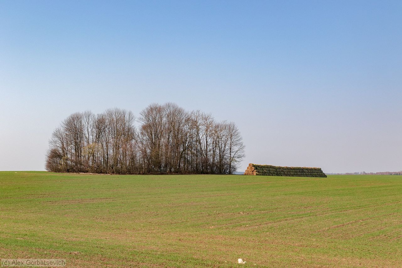 ����