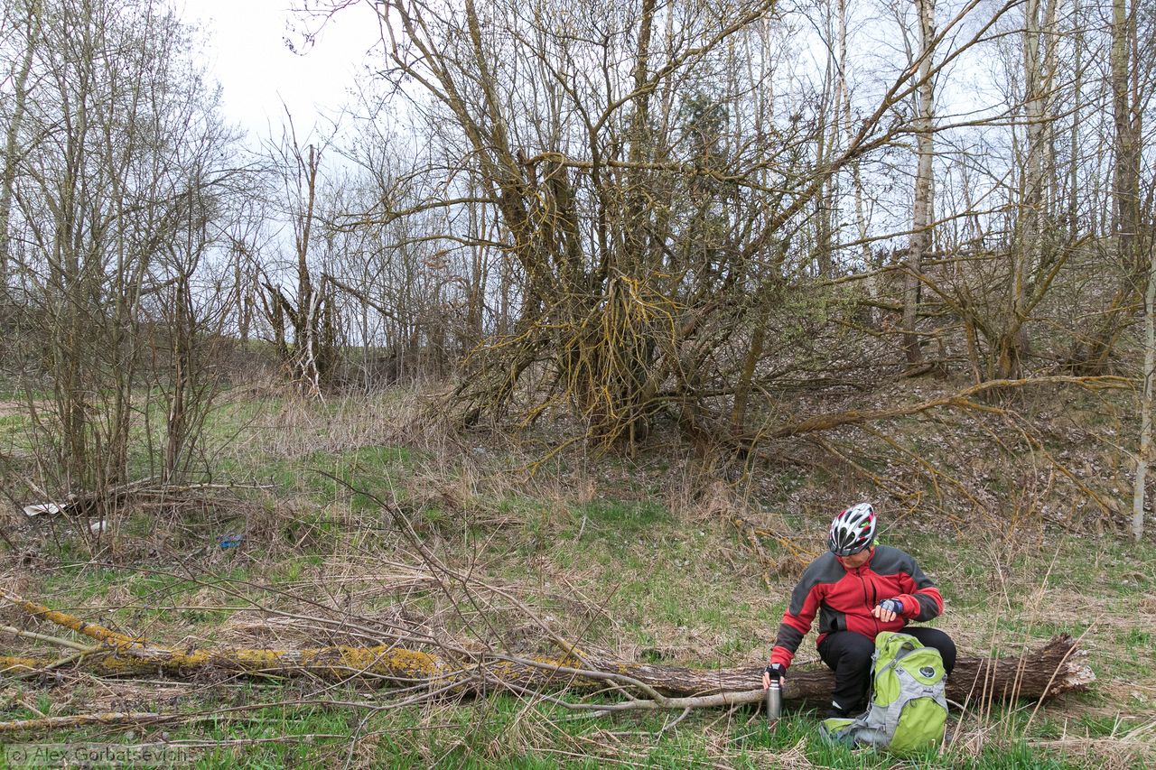 ������ � ����