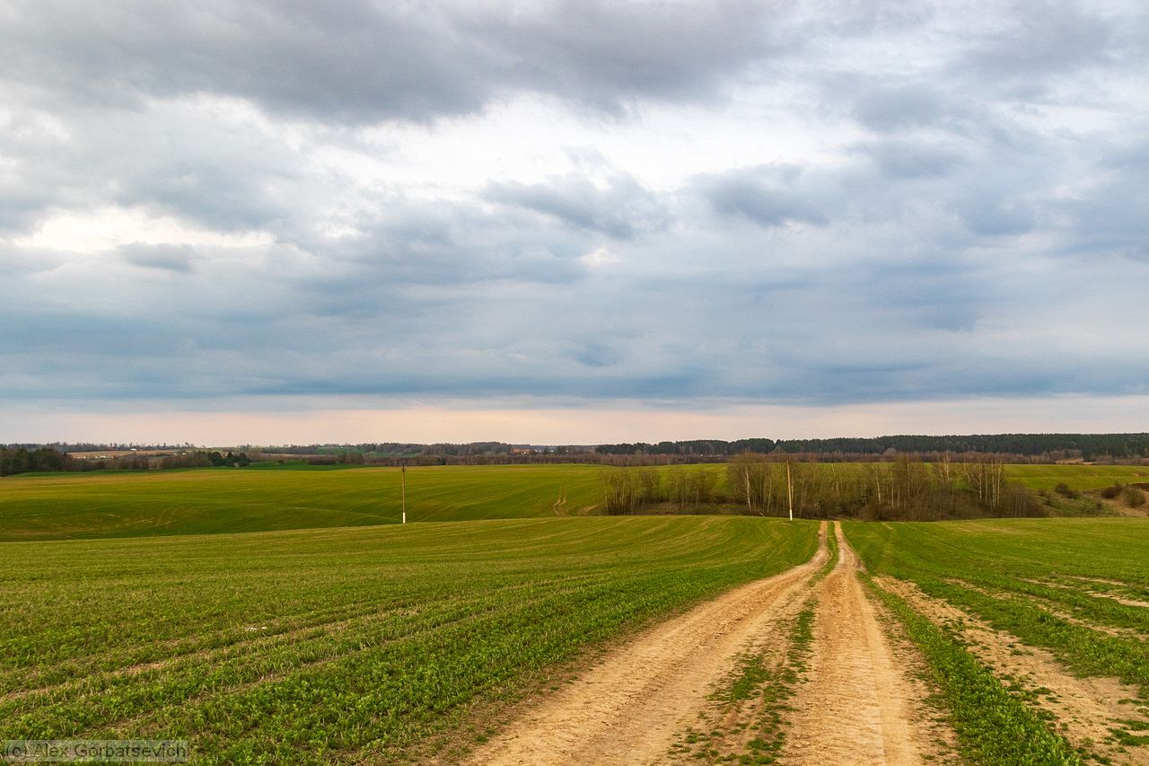 ������� ������