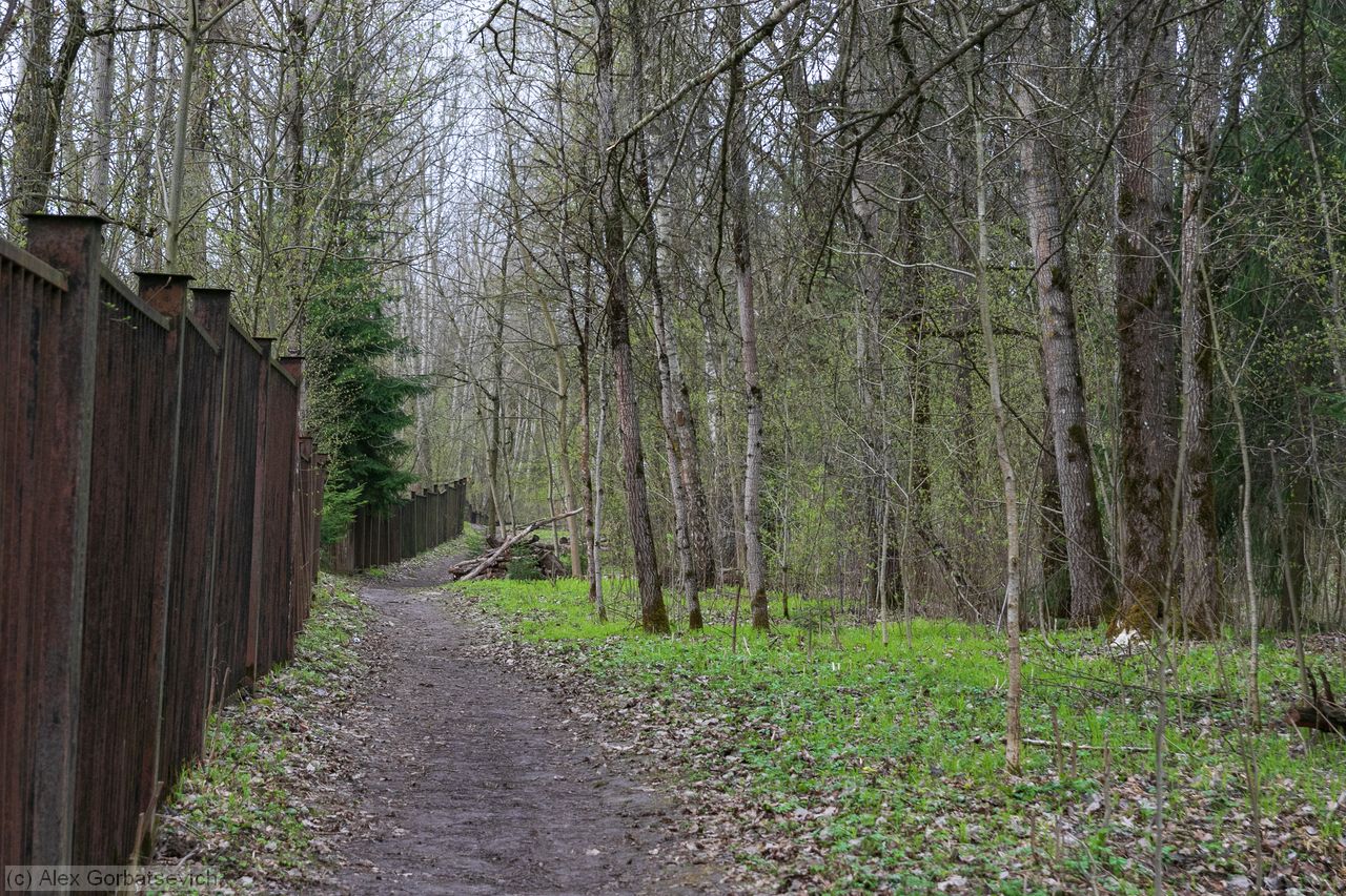 ������� ����� ���