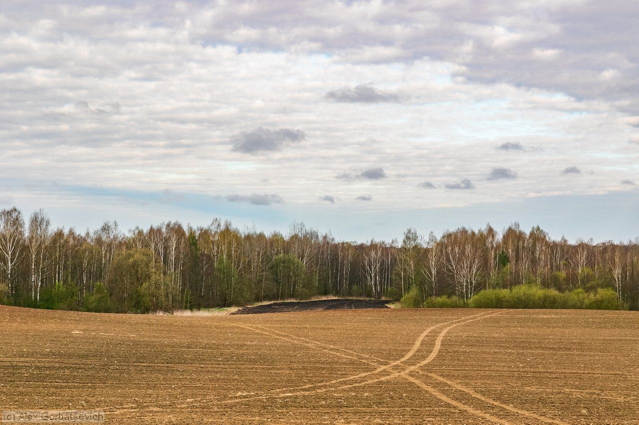 ������� ������