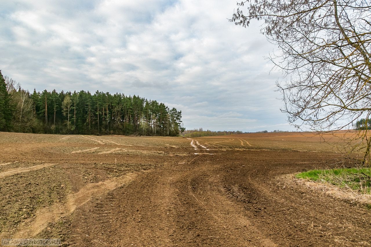 ������� ��� ���� ��� ������