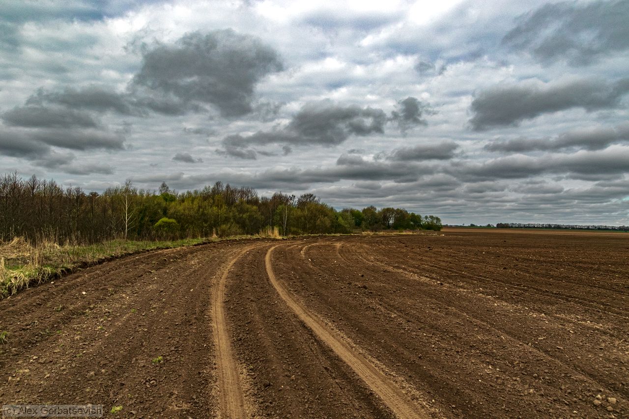 ���� ���������