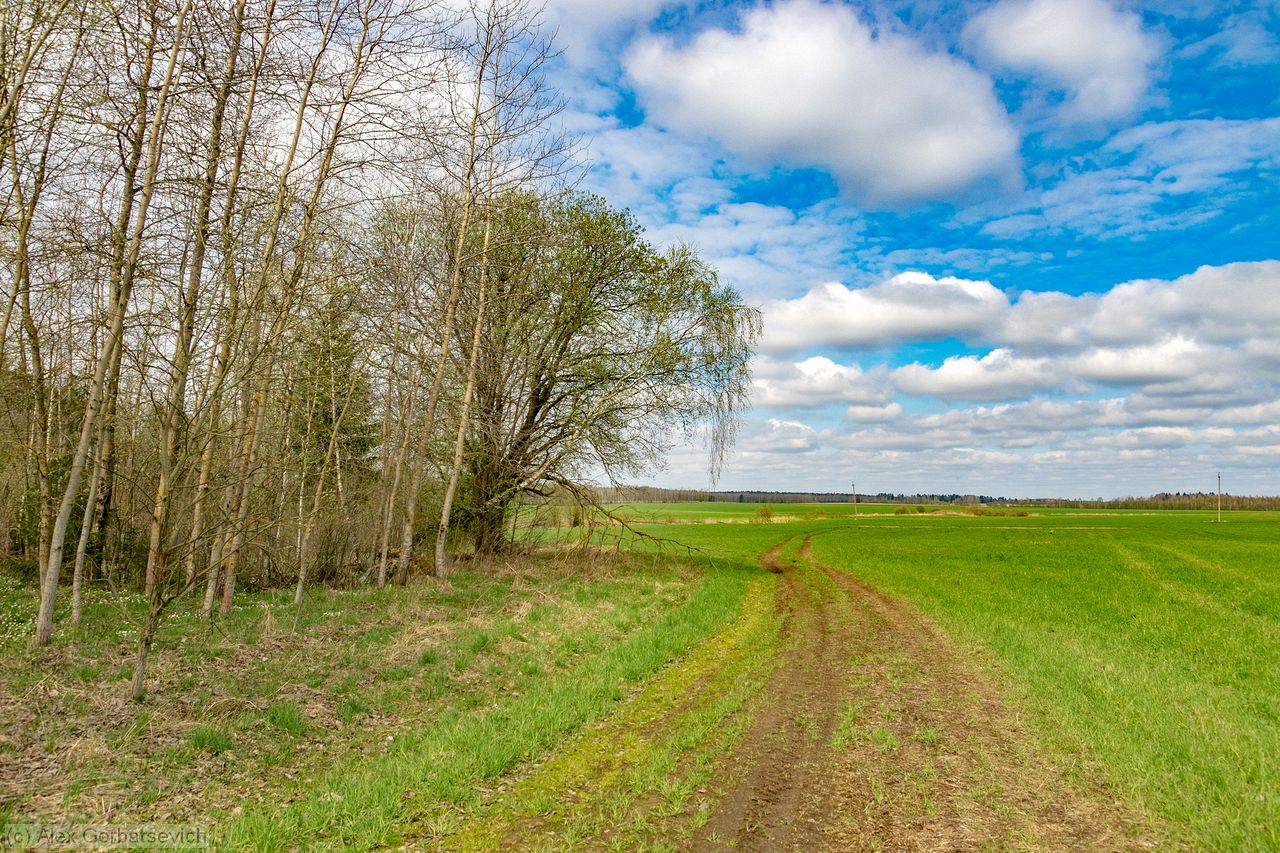 ������� ������