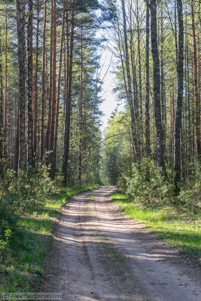 ������� ������