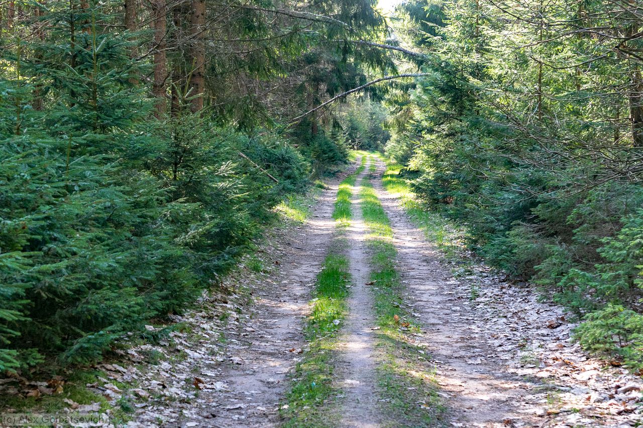 ������� ������